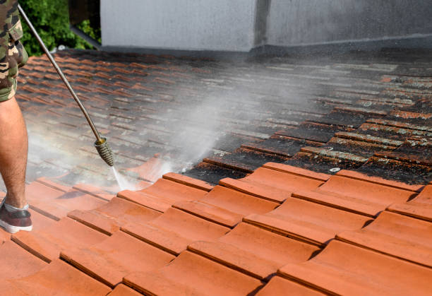 Professional Pressure Washing in Laguna Heights, TX