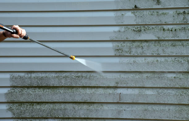 Best Sidewalk Pressure Washing  in Laguna Heights, TX