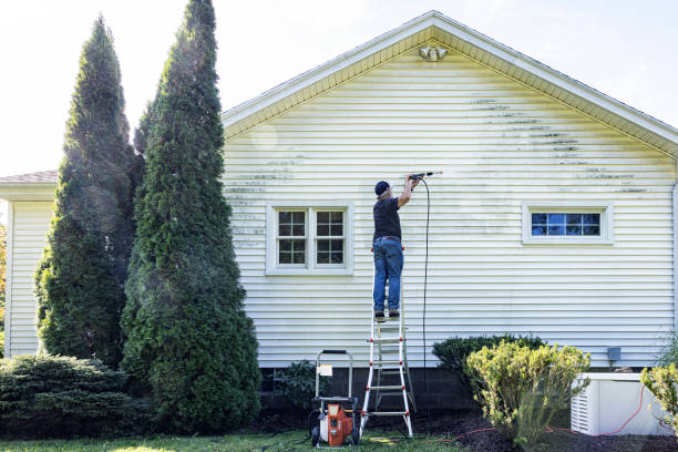 Best Best Pressure Washing Companies  in Laguna Heights, TX