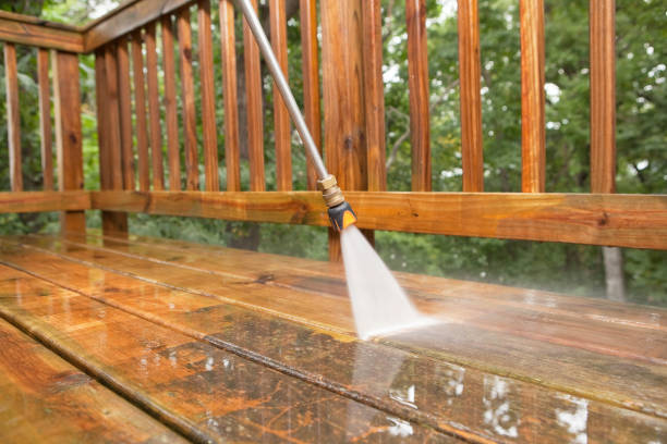 Best Local Pressure Washing Services  in Laguna Heights, TX